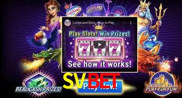 SVBET Curitiba - Live Status
